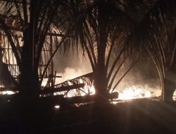 Ditinggal Makan Kandang Ayam Di Jatisuko Kecamatan Jatipuro Ludes Dilalap Si Jago Merah