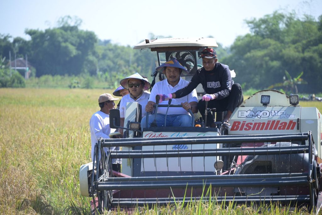Panen raya: Rober Christanto Bupati Karanganyar operasikan mesin panen di Wonolopo.