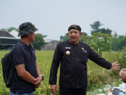 Respon Cepat Bupati Rober Atasi Tumpukan Sampah Yang Tutupi Makam Payaman