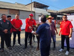 Dolfie Ofp Berikan Bantuan Sapi Metal Ke DPC PDI Perjuangan Karanganyar Untuk Jadi Hewan Kurban
