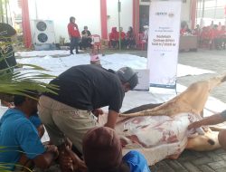 Puan Maharani, Dolfie Ofp, Sumanto Dan Rober Christanto Serempak Korbankan Sapi Metal Di DPC PDI Perjuangan Karanganyar