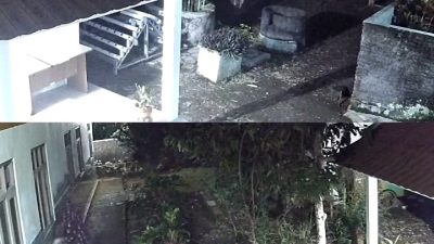 Di Duga Maling Bertopeng Sarung Ninja Satroni Sekolah Dasar Di Karangpandan