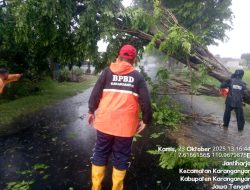 Relawan Kebencanaan Dan BPBD Karanganyar Atasi Pohon Tumbang Akibat Angin Ribut