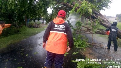 Relawan Kebencanaan Dan BPBD Karanganyar Atasi Pohon Tumbang Akibat Angin Ribut