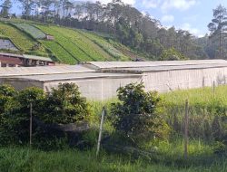 Yayasan Balindeso Peduli Gandeng Petani Milenial Greenhouse Tawangmangu Suplai MBG di Karanganyar