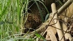 Screenshot 20260303 162058