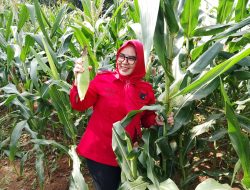 Terinspirasi Kartini, Jalan Politik Adalah Ruang Pengabdian Latri