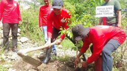 Sumanto Bangkitkan Kembali Mitologi Lokal Penunggu Pohon Besar untuk Rawat Bumi Bersama Relawan Jogo Kali