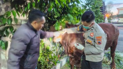 IMG 20260526 WA0160