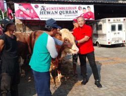 DPC PDI P Karanganyar Teladani Ke Ikhlasan Nabi Ibrahim dengan Sembelih 7 Sapi Dalam Perayaan Idul Adha