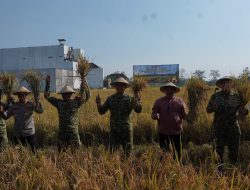 Pangdam IV Diponegoro, Dandim 0727 Karanganyar dan Bupati Karanganyar Kompak Dukung Ketahanan Pangan Nasional