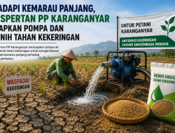 Hadapi Kemarau Panjang, Dispertan PP Karanganyar Siapkan Pompa dan Benih Tahan Kekeringan
