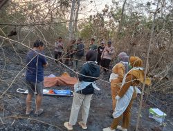 Mbah Bejo ke Ladang, Tak Kunjung Pulang! Bau Kulit Terbakar Jadi Petunjuk Tragis di Kebun Jati