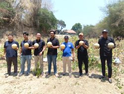 Melon Karanganyar Tembus Pasar MBG, Harga Jual Capai Rp14 Ribu per Kilogram
