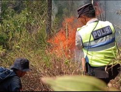 Titik Api Muncul di Gunung Lawu, Relawan dan POLRI Berjibaku Padamkan Kebakaran
