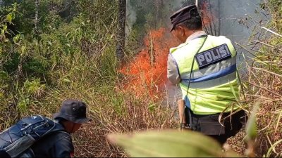 Titik Api Muncul di Gunung Lawu, Relawan dan POLRI Berjibaku Padamkan Kebakaran